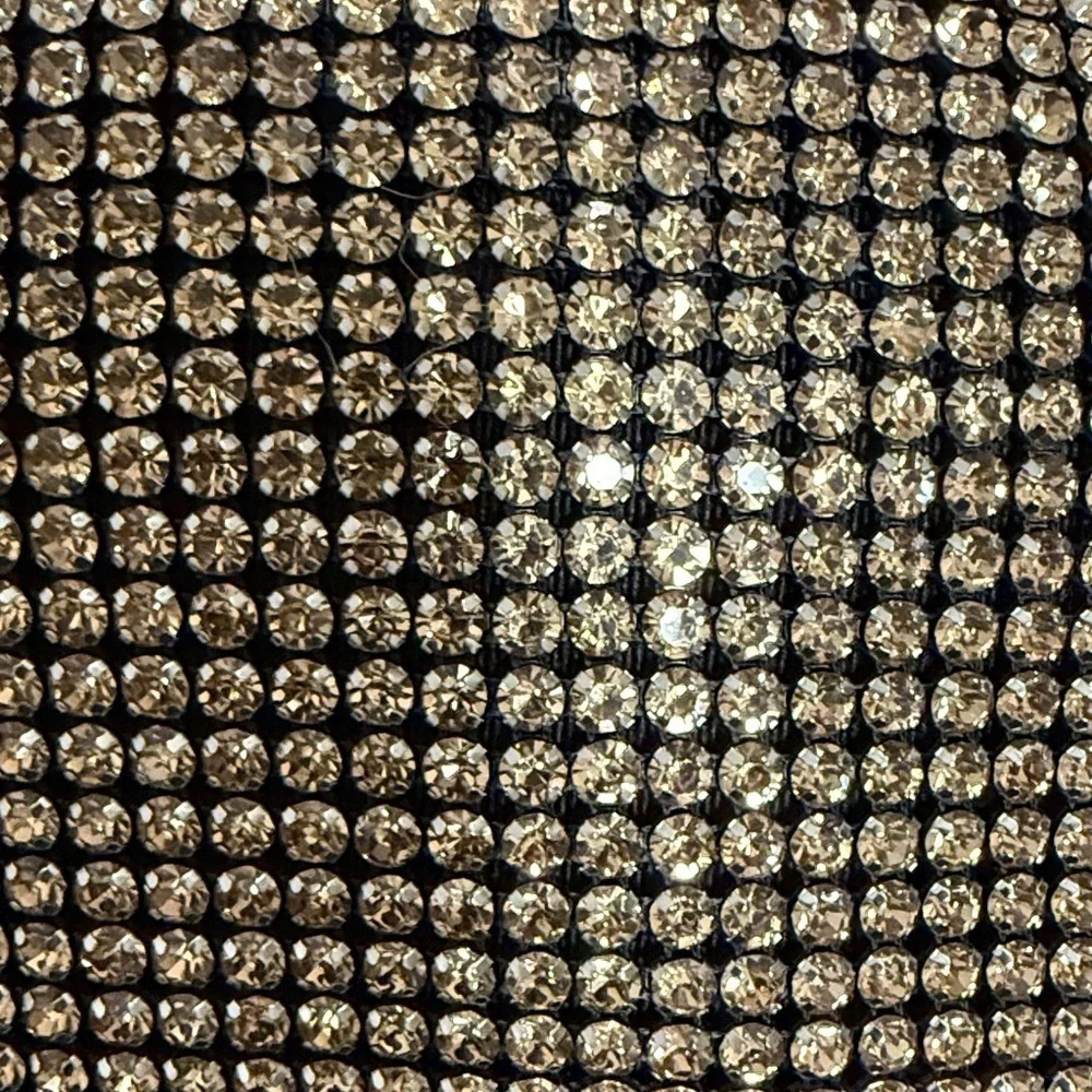 NWT Madison West Champagne Rhinestone Bag with a Knotted Top Handle.